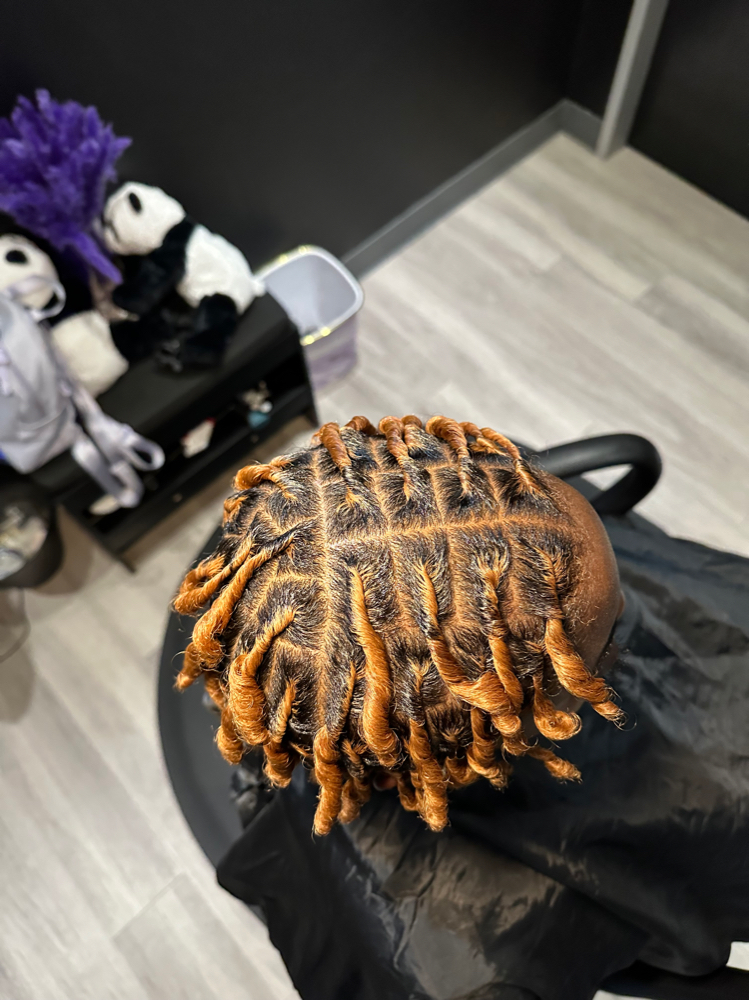 Medium Starter Locs