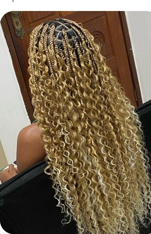 Boho Box Braids Small Knotless