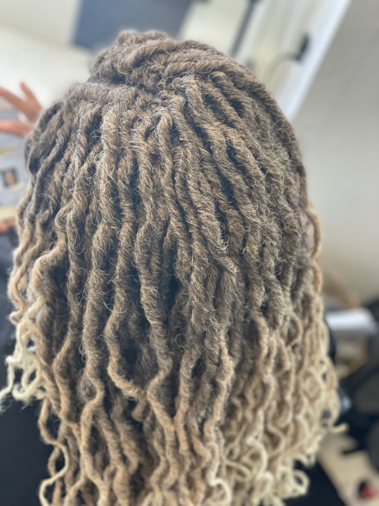 Basic Crochet (Locs/Twist/Braids)
