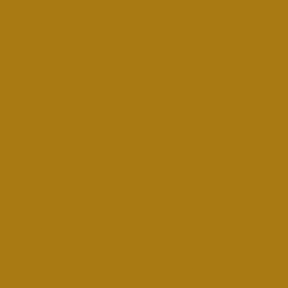 Salon Rapid Tan
