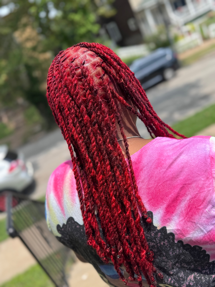 Hair Dying‼️ (Whole Head) at LoccsByDerra in Saint Louis, MO