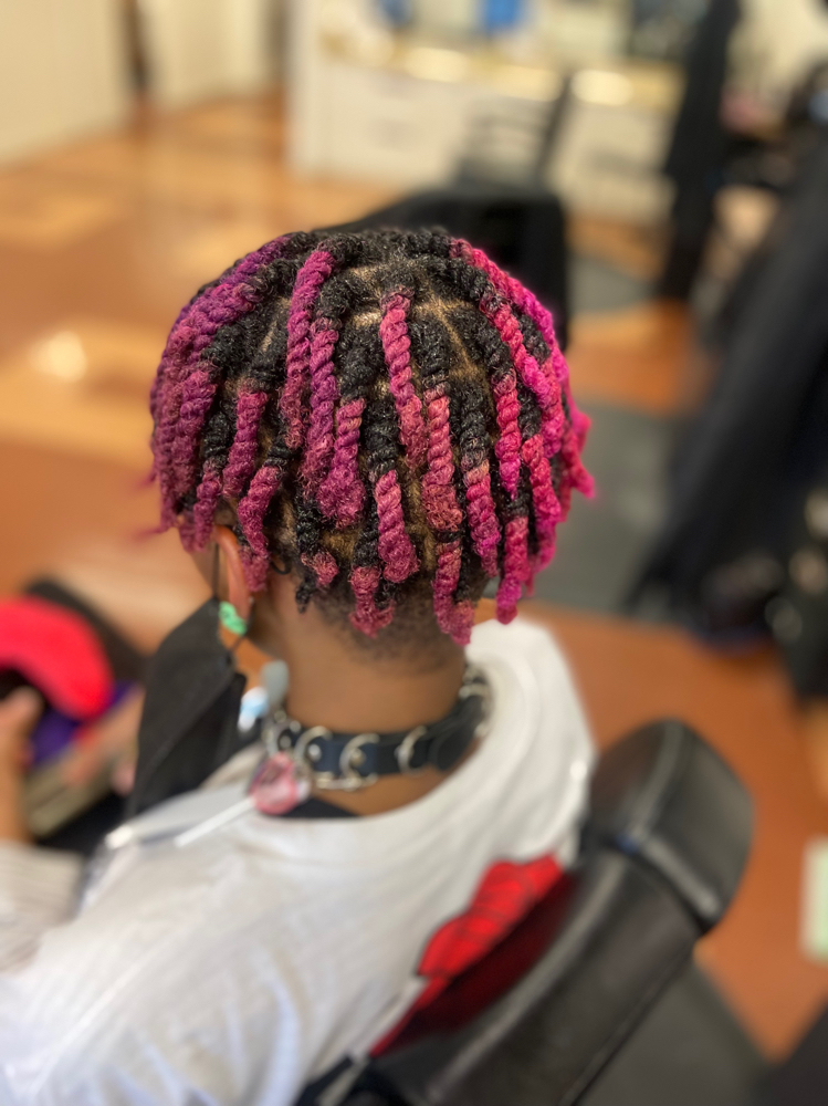 Natural Twistout/ Braidout