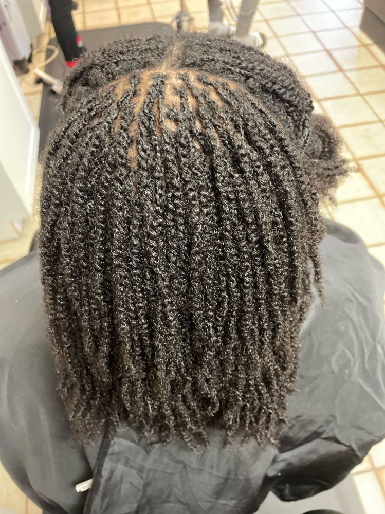 Starter Locs with Two Stand Twist