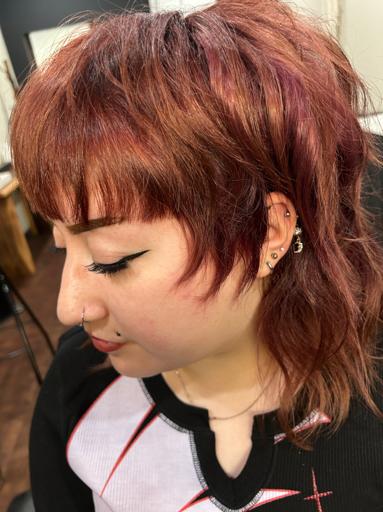 Root Touch Up at Danitza Eulalia in Vacaville, CA