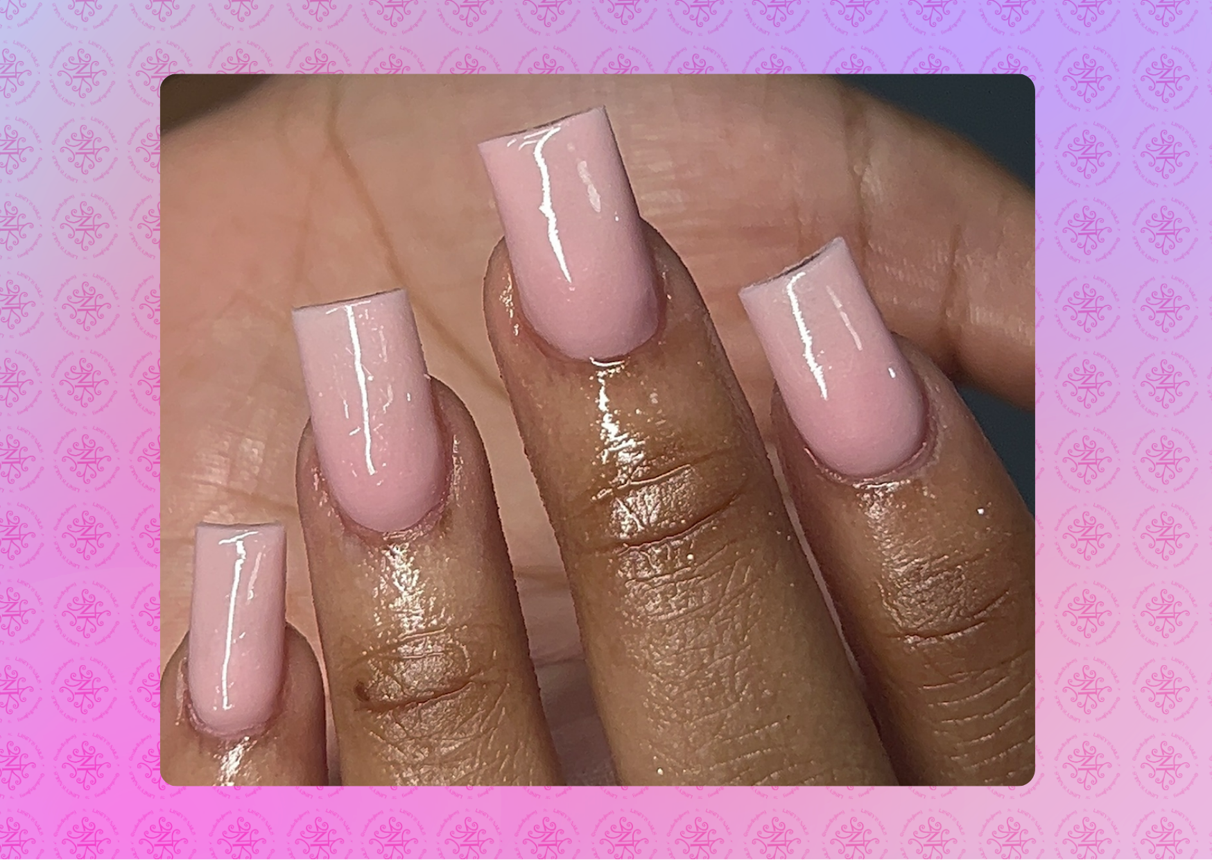 Fresh Set