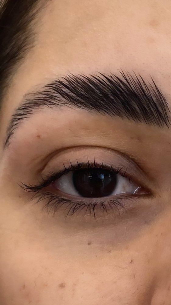 Brow Lamination + Brow Tint