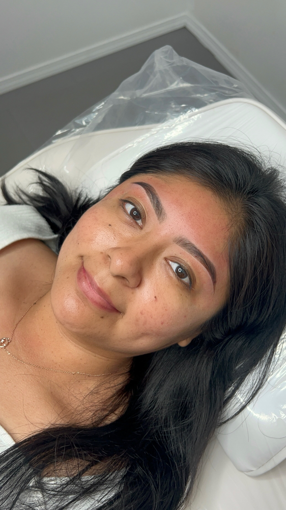 Brow Map, Wax X Stain at Desthetics in Los Angeles, CA