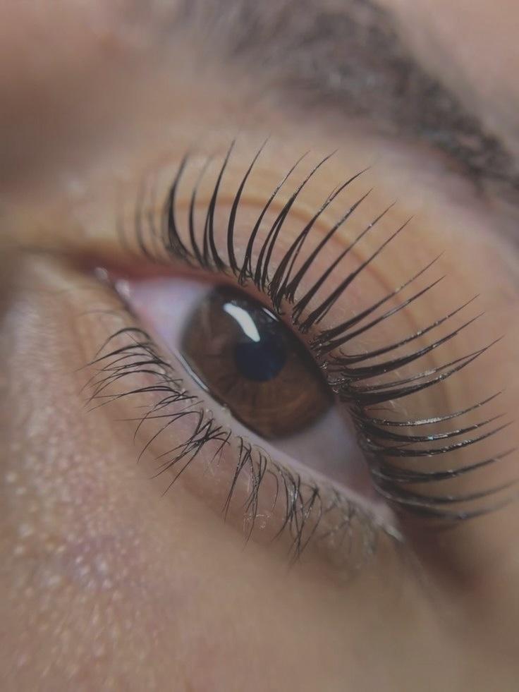 Lash Lift & Tint