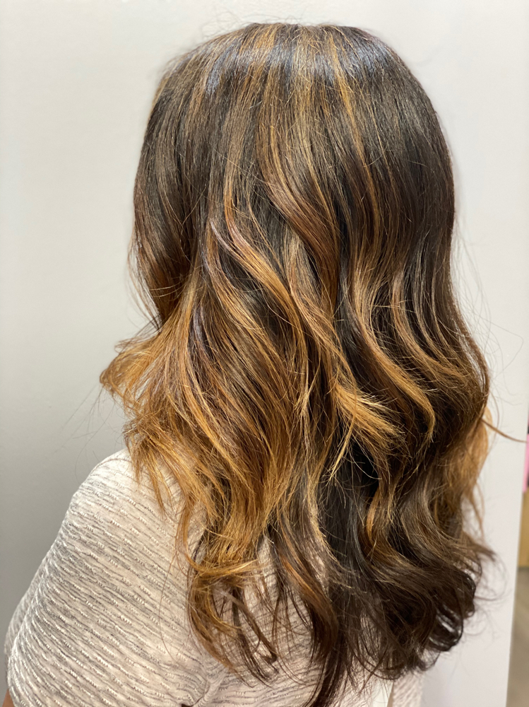 All Over Color/Lowlights/Haircut