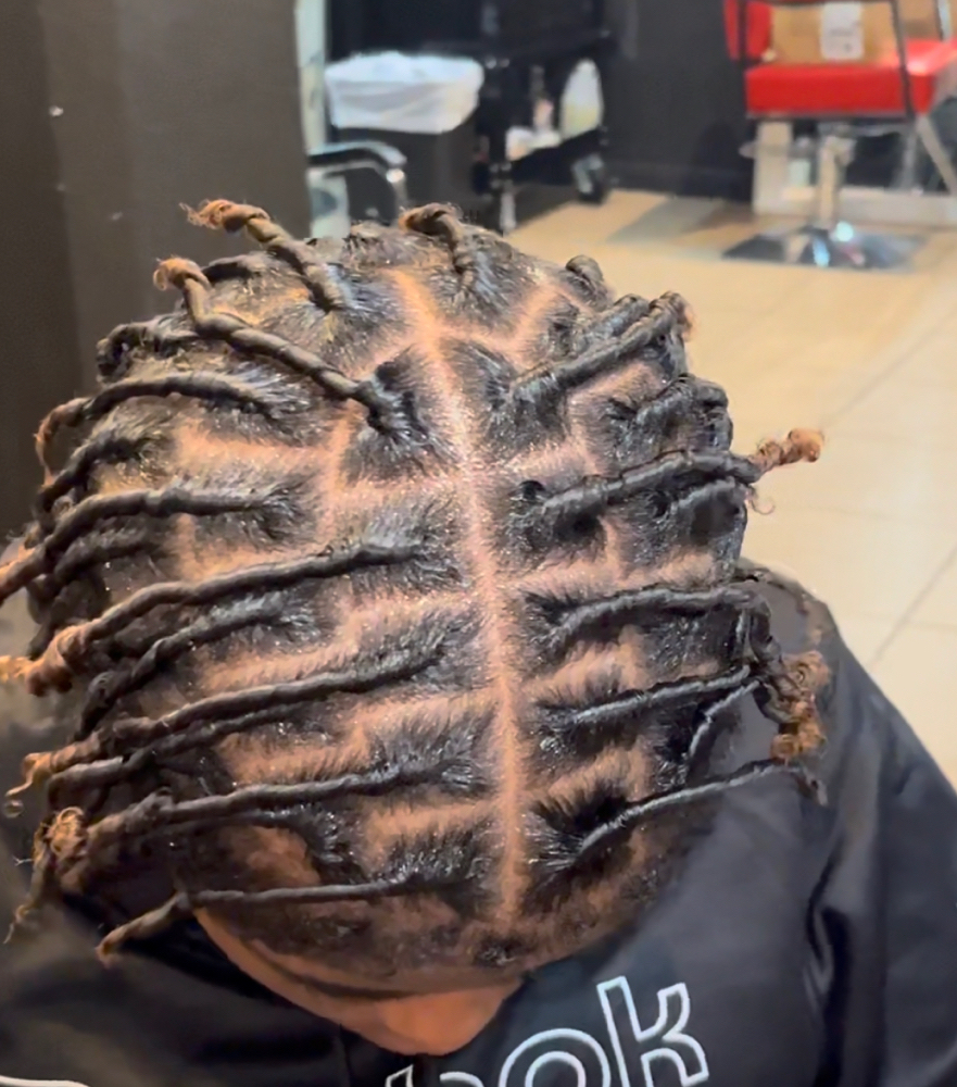 Starter Locs