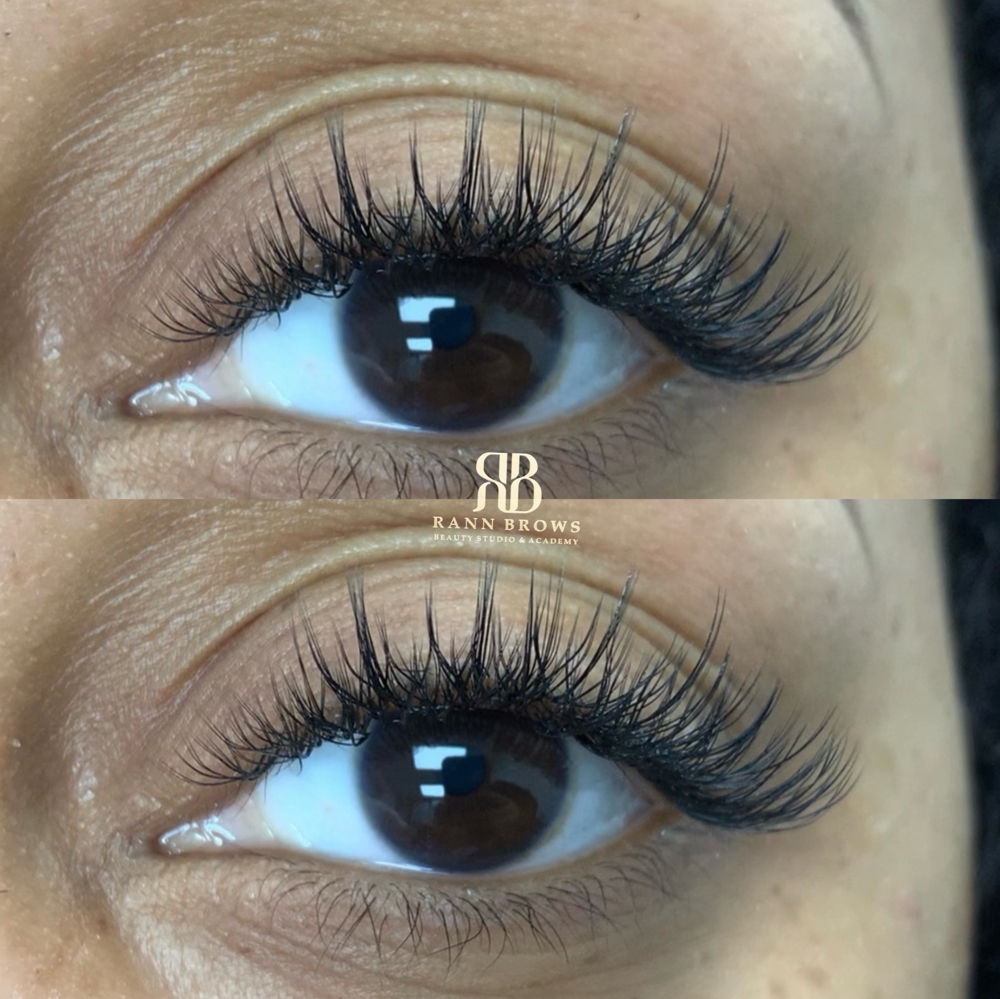 New Set - Volume Lashes