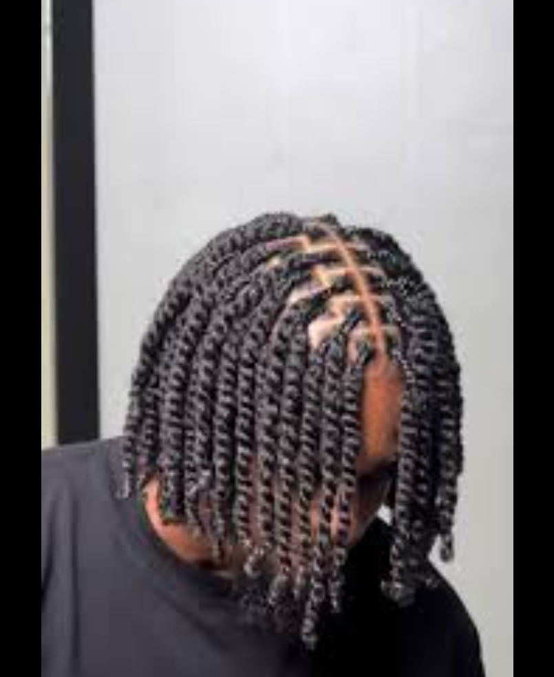 Box Braid 2 Strand Twist