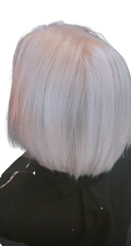 Haircut (No Shampoo and Style)
