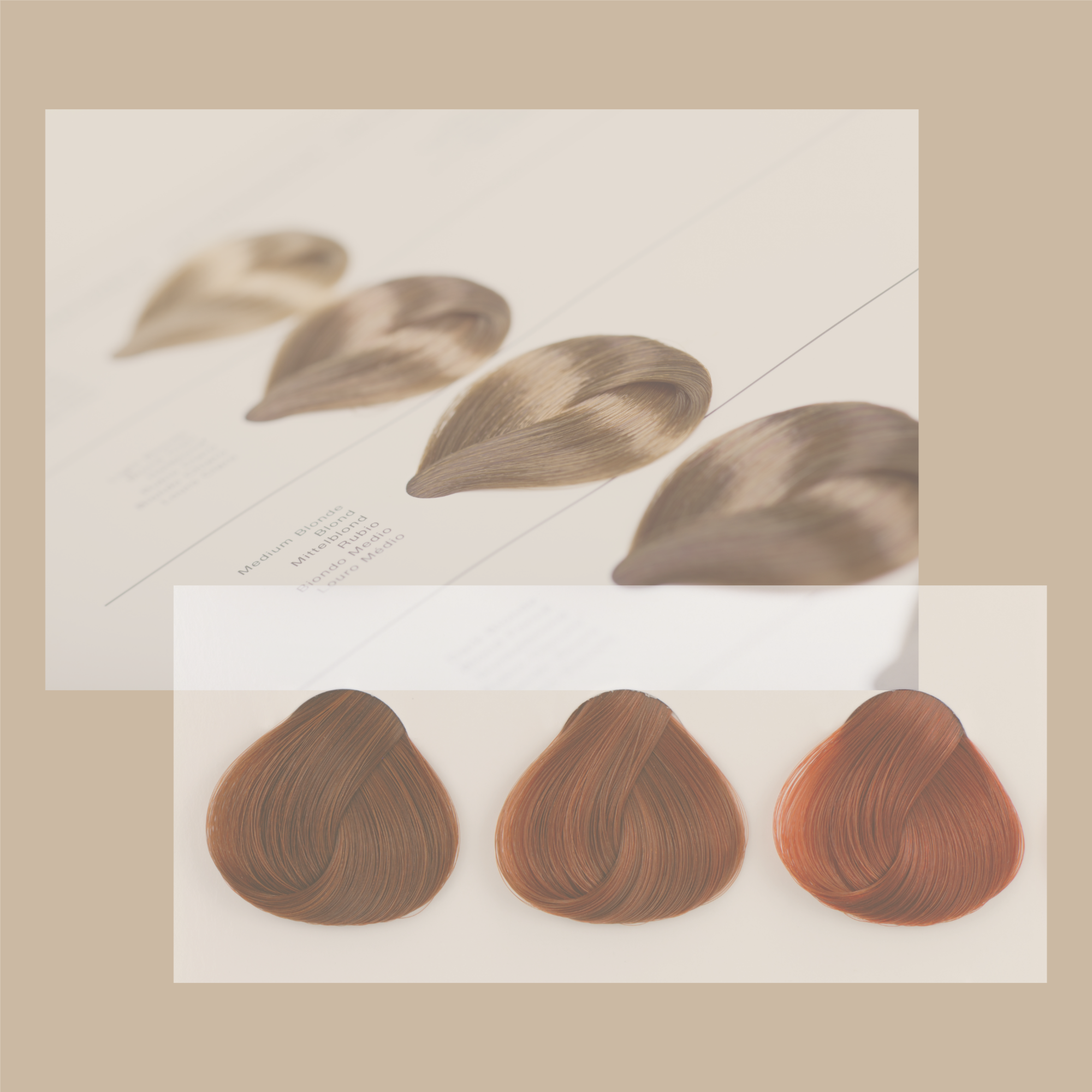 Consultation at Ashlee Holley Hair in San Marcos, TX