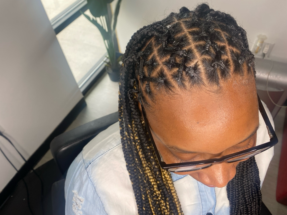 Knotless Waist Length Hair Included