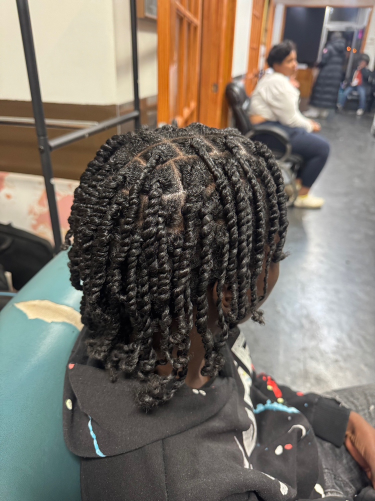 Two Strand Twist