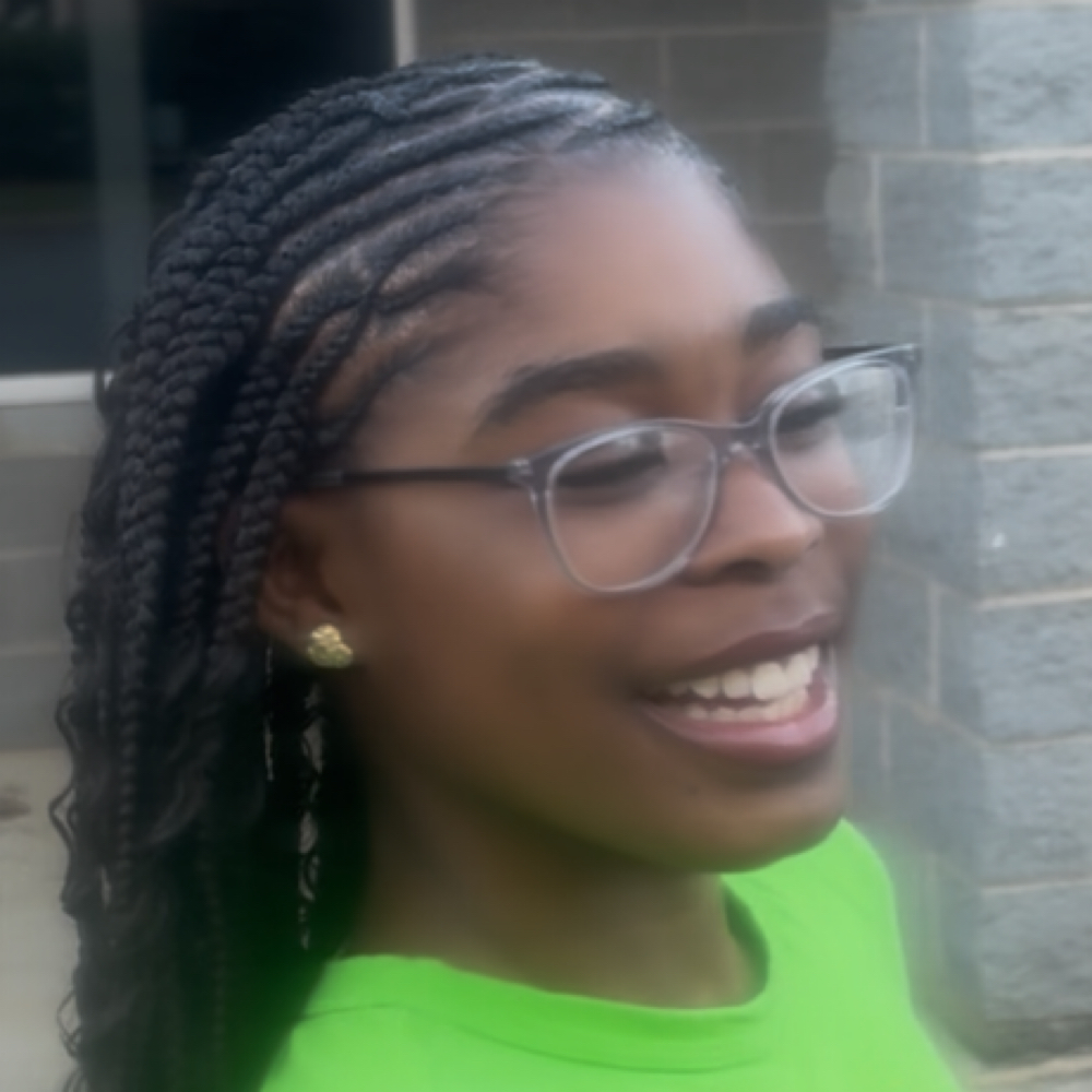 Fulani/Tribal Braids at B Diva Braids and Locs in Statesville, NC