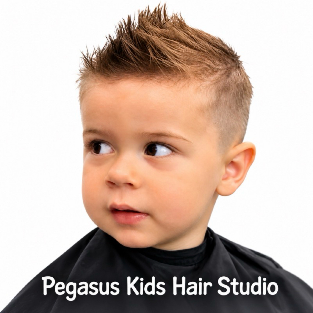 Toddler Boy Haircut 0-6 at Pegasus kids hair studio in Yakima, WA