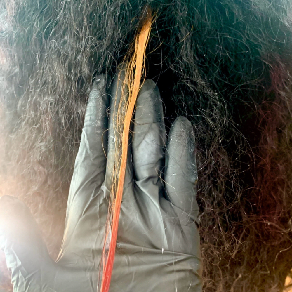 Consultation with Test Strand at Le Colorista Hair Co. in Raleigh, NC