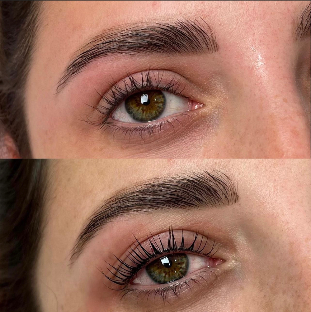 Lash Tint Only