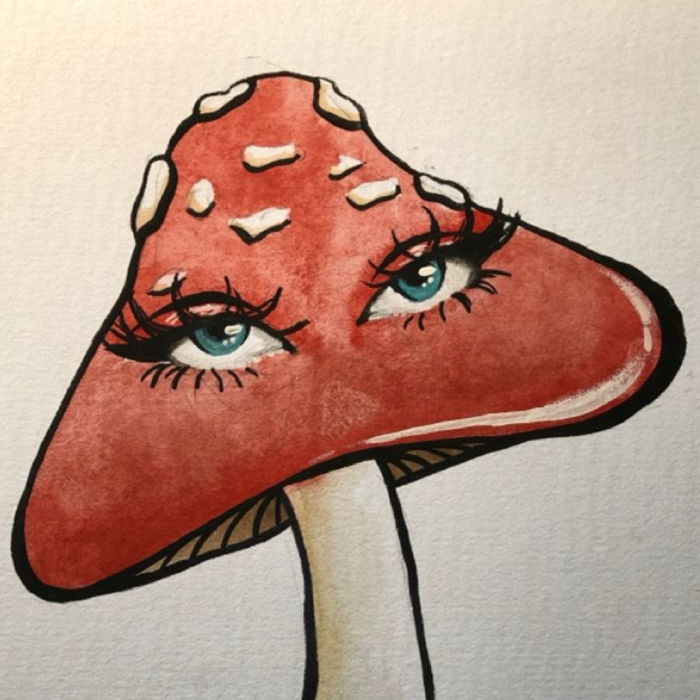 Half Set Fill at trippalash in Boulder, CO