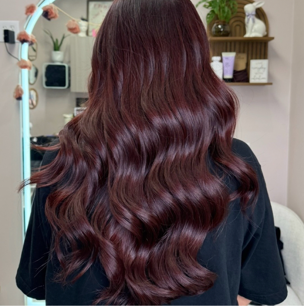 All Over Color at Bonita Artistry by Pauline Jenisse in Lakeland, FL