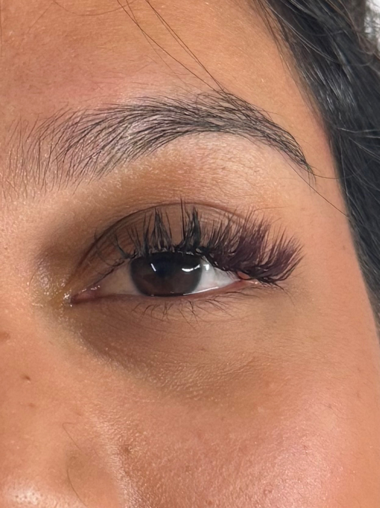 M Curl Lash Set
