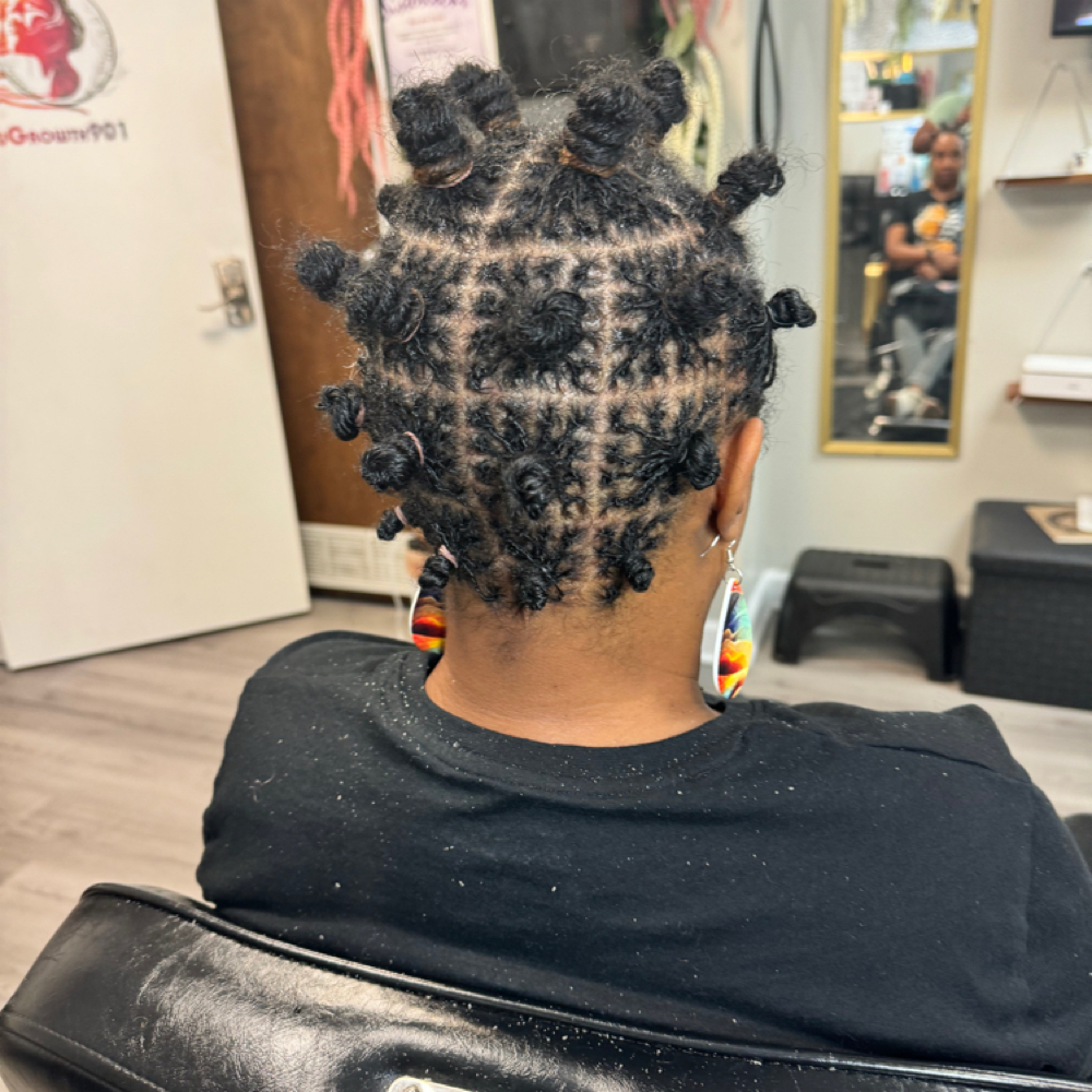 Sis’locksTM/Microlocks Consultation at NewGrowth901 in Memphis, TN