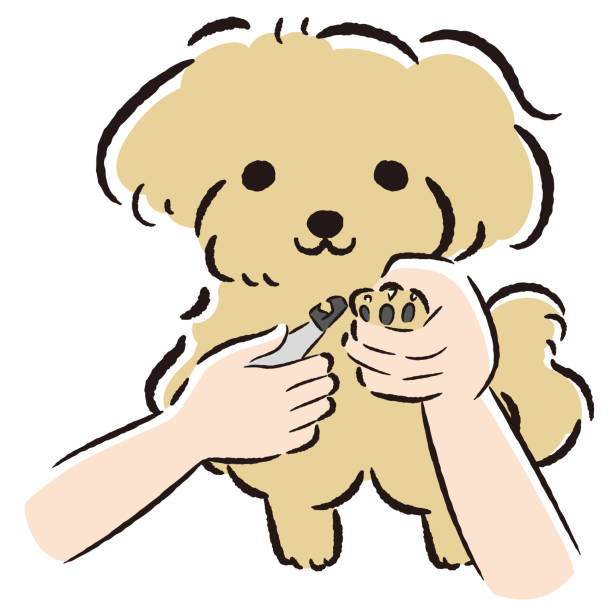 Mobile Pawdicure