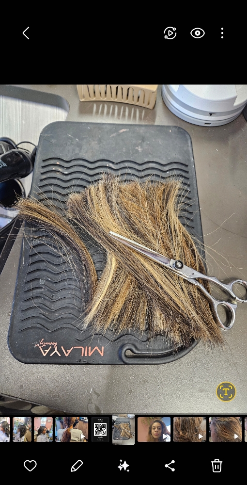 Hair Cut Or Trim