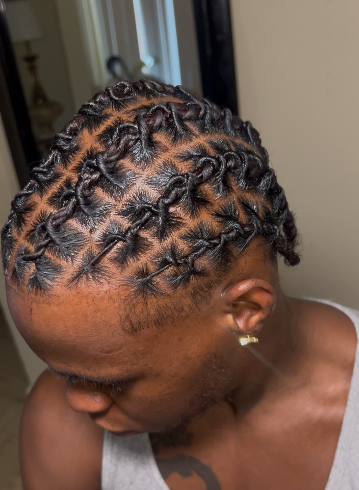 Invisible Locs (Barrel Or 2 Strand)