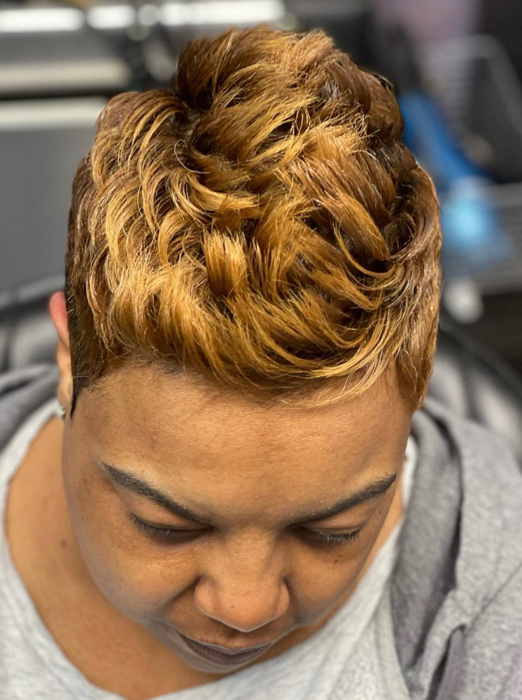 Hair Color/Hair Cut Short