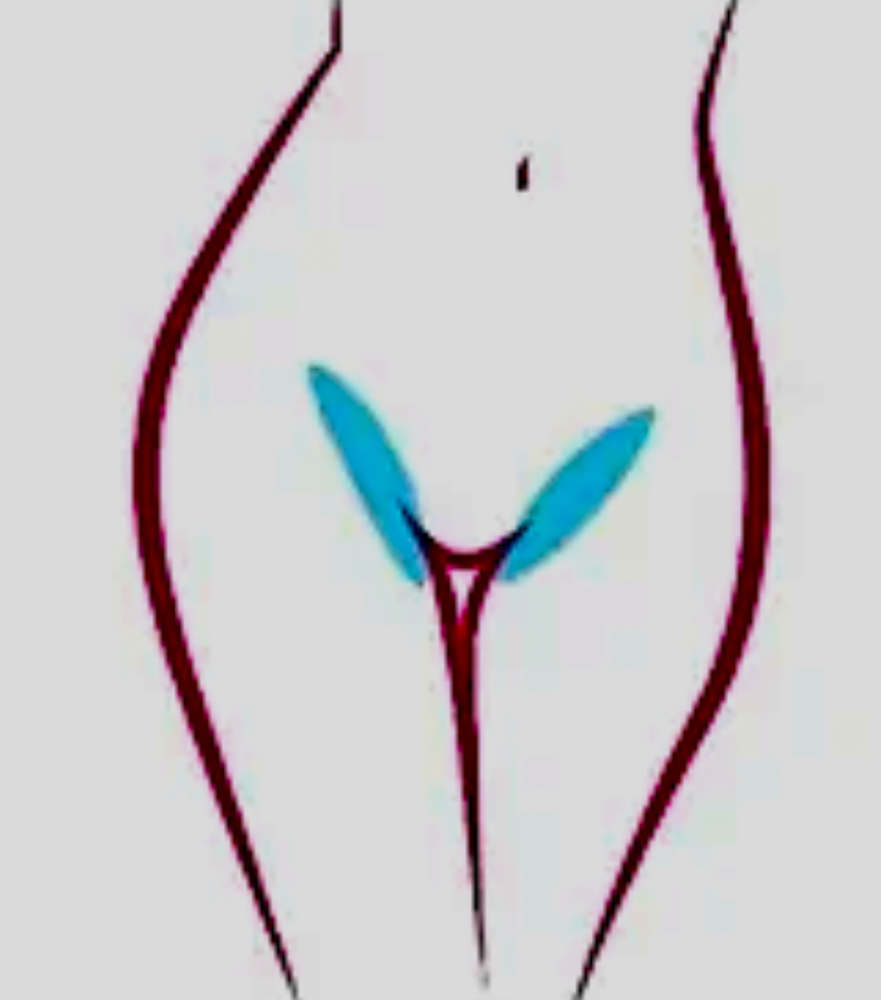 Bikini