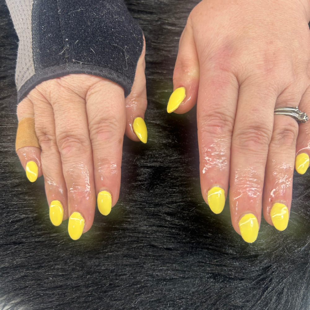 Short Full Set W/ 1 Color   5🧲s at PrettyP Nailz in Sandusky, OH