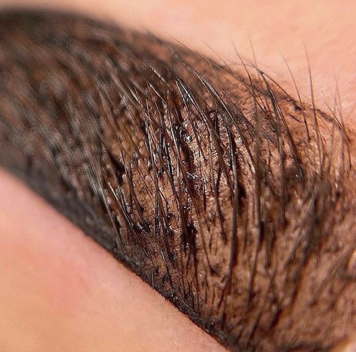 Brow stain & Wax at Aesthetics By Eli in Salinas, CA