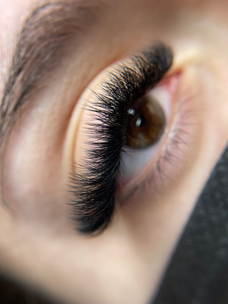 Volume Lashes
