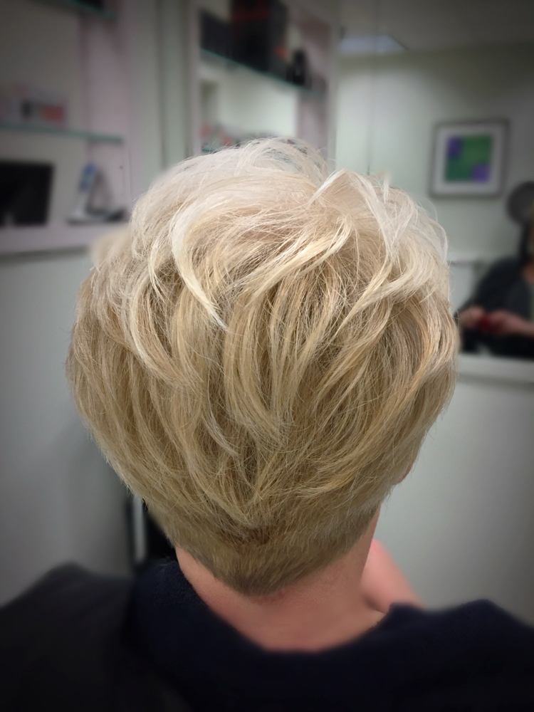 Shampoo & Blowdry Styling