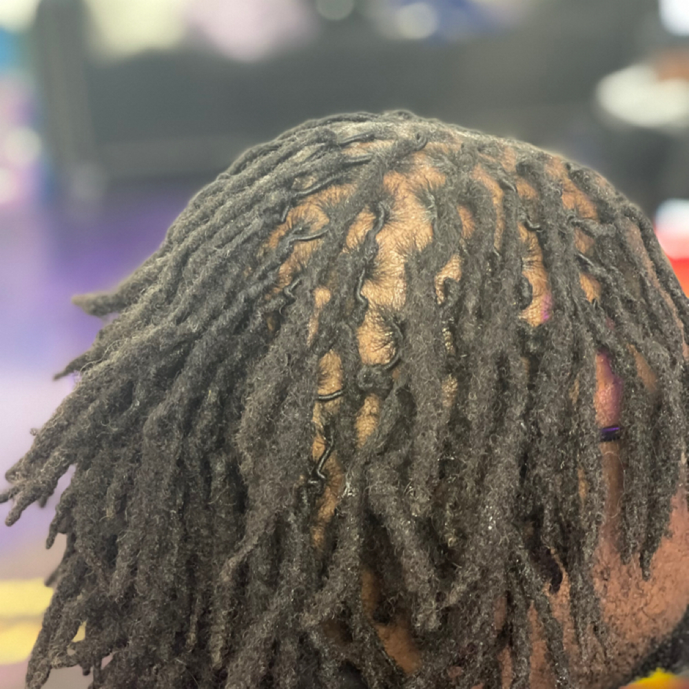 Loc Maintaince at Audacity beauty parlor in Reno, NV