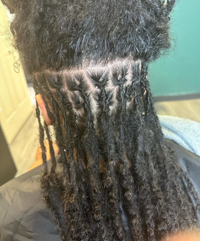 Latch Retwist (Full Head) at Beauty Blvd in Columbus, OH