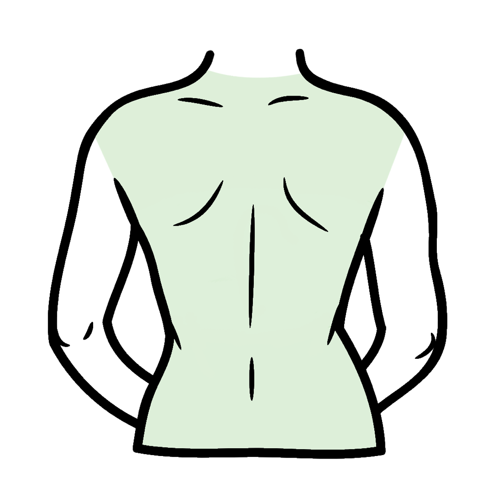 Full Back
