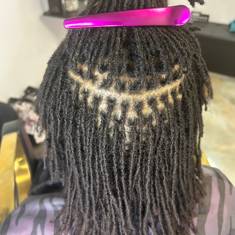 Transfer Microloc Consultantation at Loc Lingo And More by Alyssa in Bridgeton, MO