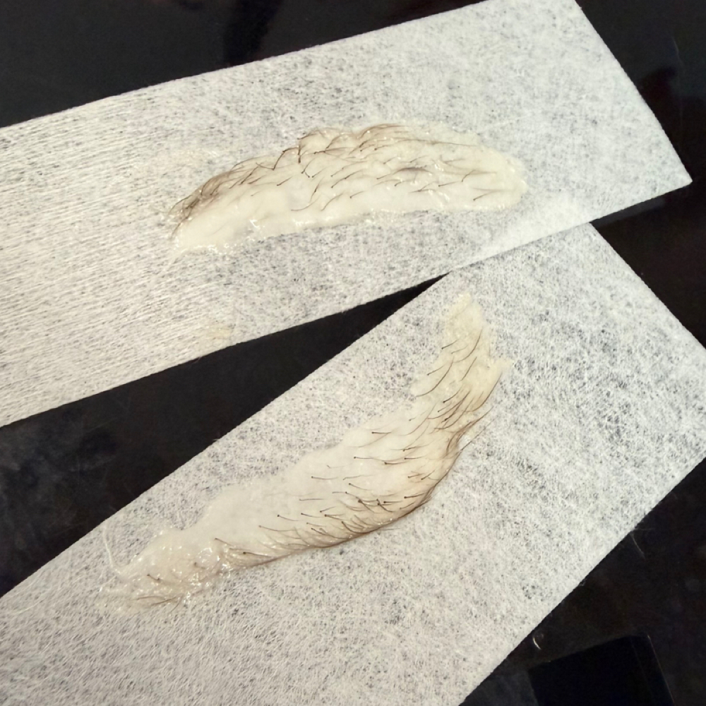 Brow Wax at Alyssa Rene Esthetics in Lewiston, ID
