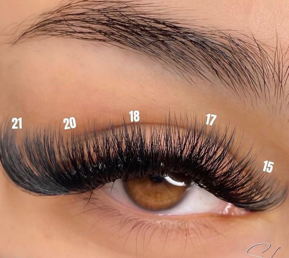 Wispy Lash Strip
