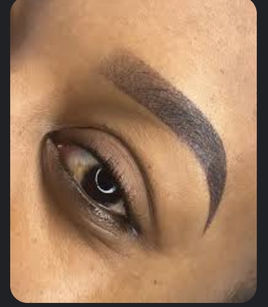 6-8 Week Touch Up at SHALZ SMART BROWS in RICHMOND, TX