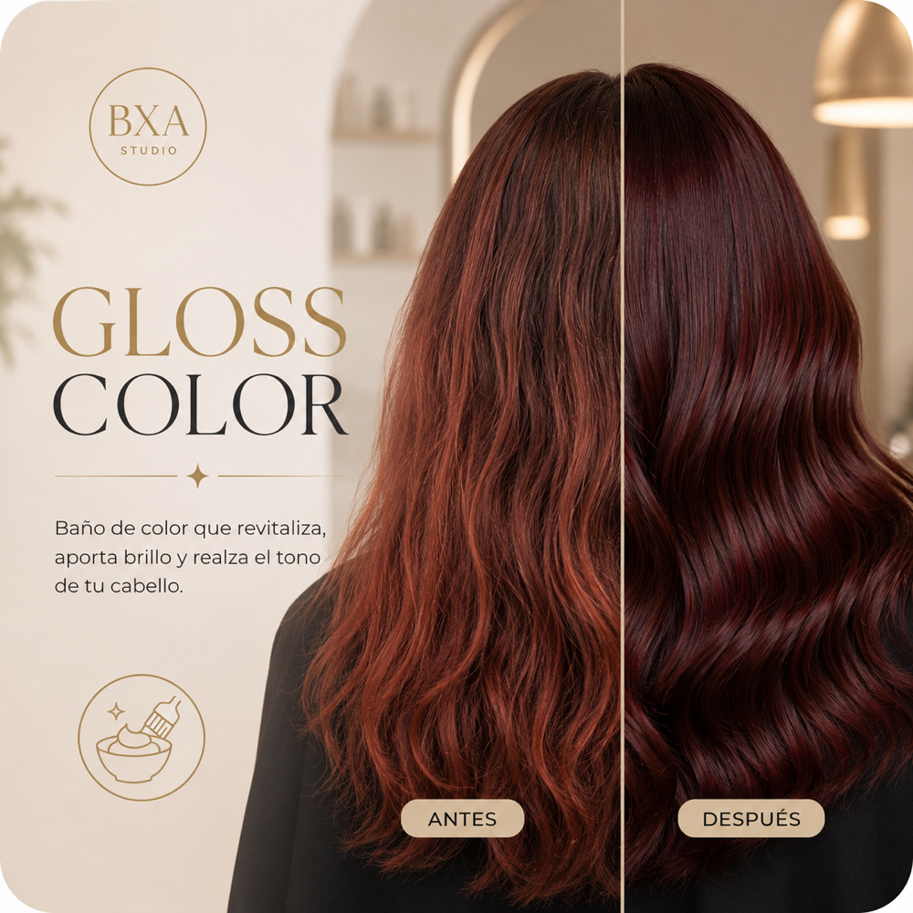 GLOSS COLOR at BXA PROFESIONAL in Selma, CA