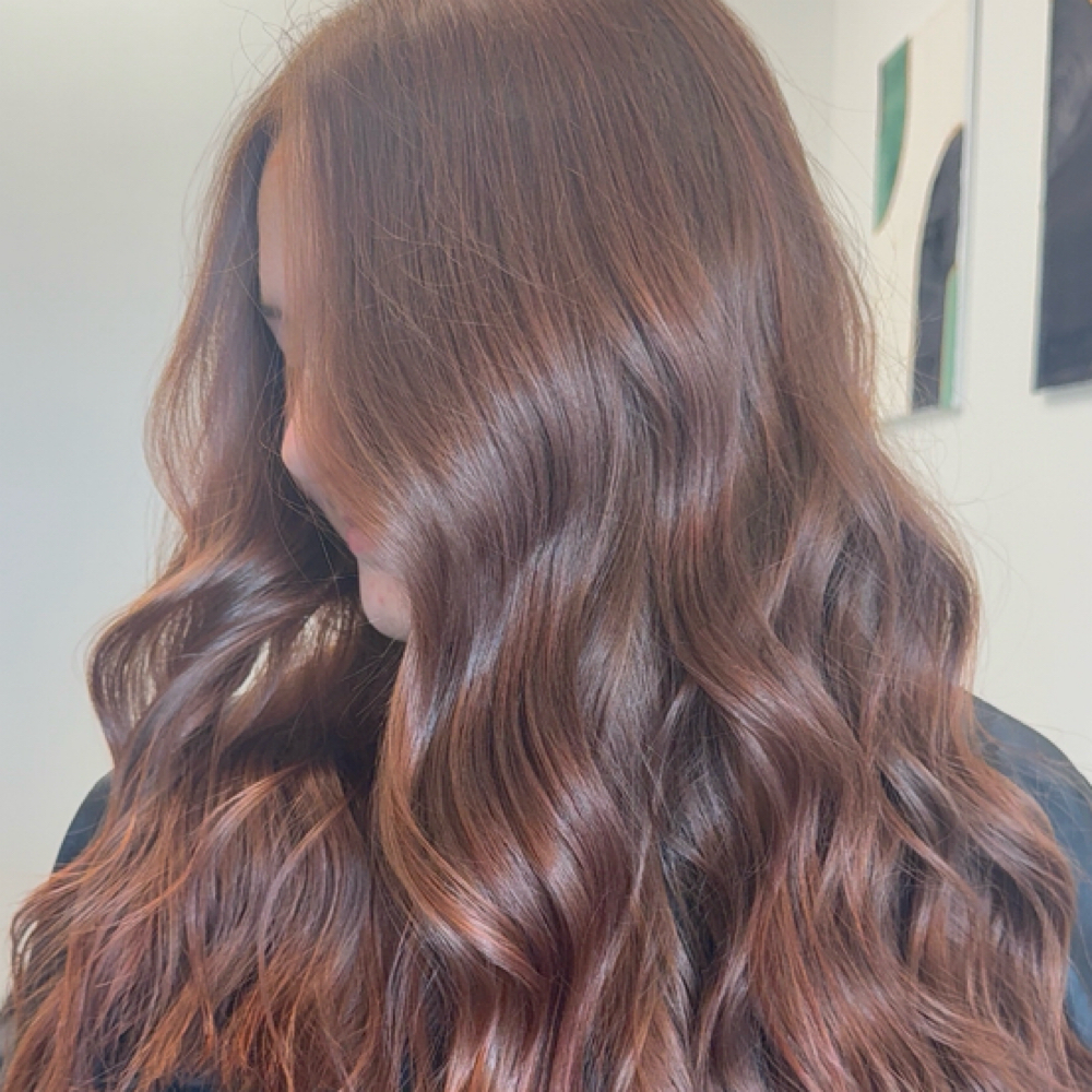 All Over Color at Bri Luxury Salon in Katy, TX