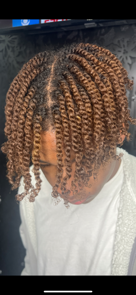 Two Strand Twist