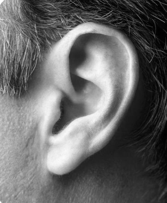 Ear Wax