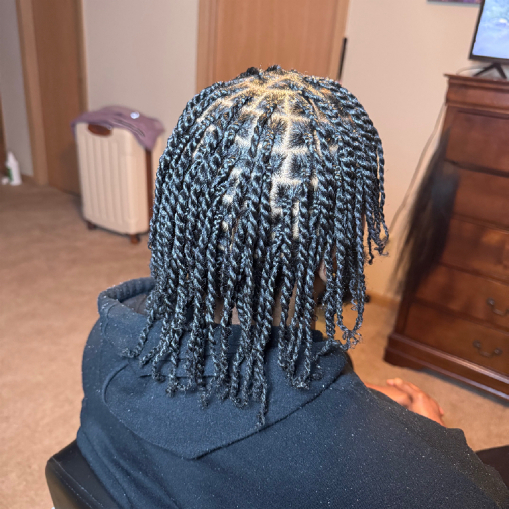 Natural Hair Twist - Smedium at Braids By Tica in Morrow, GA