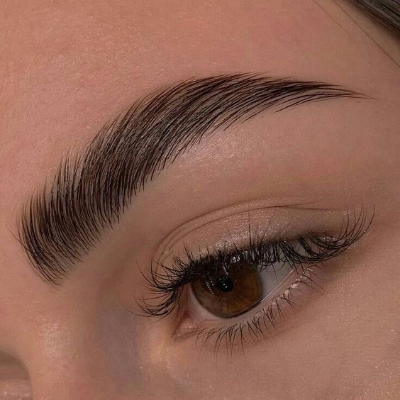 🌸 Brow Services 🌸 at ‧₊˚✧ 𝐃𝐞𝐬𝐭𝐢𝐧𝐞𝐝 𝐁𝐞𝐚𝐮𝐭𝐲 ✧˚₊‧ in Chicago, IL